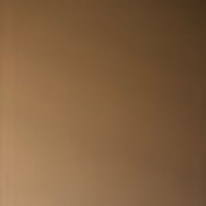 Meet your Posher, Paris